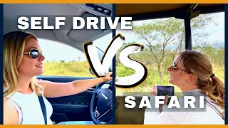 Self Drive Safari vs Guided Safari in Kruger Park 🐆
