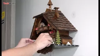 Black Forest Cuckoo Clock Setup