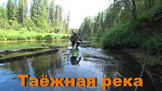 РЫБАЛКА В ГЛУХОЙ ТАЙГЕ!!! ЛОВЛЯ ХАРИУСА, ЩУКИ НА ....