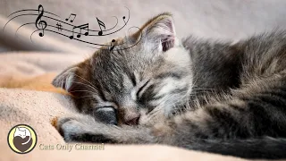 Music for Cats - Relaxing Harp Music & Cat Purring Sounds / Stress Relief,  Anxiety Relief