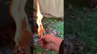Lighting a fatwood feather stick, amazing!