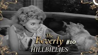 The Beverly Hillbillies - Special Part 10 | Classic Hollywood TV Series