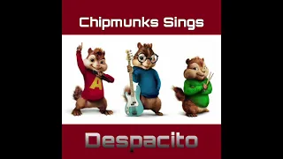 Chipmunks Sings Despacito