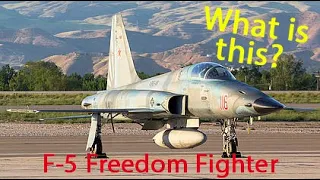 What is The F-5 Freedom Fighter? (Short Documentary)