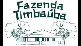 FAZENDA TIMBAÚBA  - HIDROLÂNDIA -CE