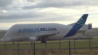 ( EXTREME NOISE! ) A300-600ST BELUGA N2 TAKEOFF AT CHESTER HAWARDEN AIRPORT | 07/12/19