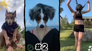 Therian/quadrobics tiktok compilation!★||#2