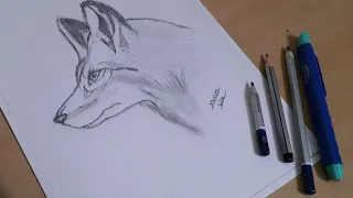 FOX SKETCH STEP BY STEP BY MASTER ATHARVA KALE