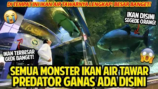 SEMUA MONSTER IKAN PREDATOR AIR TAWAR TERBESAR LENGKAP DISINI! ! DUNIA AIR TAWAR TMII!  #PART1