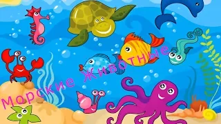 Морские Животные Для Детей Рыбы Черепахи Лягушки Развивающее и обучающие видео Лучшее
