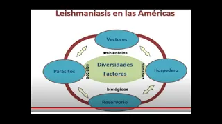 Leishmaniasis visceral