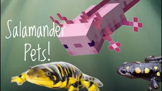 5 Great Salamander Pets!