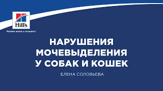 Вебинар на тему: "Нарушения мочевыделения у собак и кошек". Лектор - Елена Соловьева