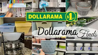 NEW IN DOLLARAMA DOLLAR STORE CANADA | KITCHEN STORAGE & ORGANIZER, DIY HOUSE DECOR #dollaramacanada