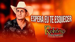 ROBÉRIO E SEUS TECLADOS  LANÇAMENTO  MUSICA  NOVAS     2024