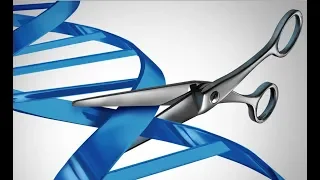 CRISPR Cas9. Así se cortan y pegan genes.