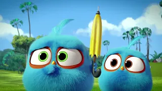 Angry Birds. Пушистики 💥ВСЕ СЕРИИ💥 - 8 серия