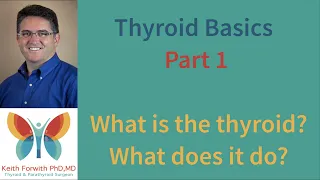 Thyroid Gland Basics - Part 1