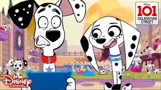 Cleaning : Animals vs Humans | 101 Dalmatian Street | Disney Channel Africa