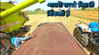 ये सरसो निकली है अपने खेत में | कितना एरिया था लाइव मापेंगे | Gill preet combine harvesting mustard