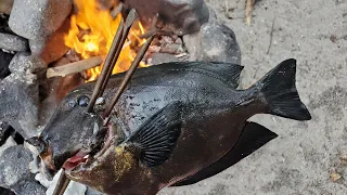 Fishing Catch & Cook on Remote Island Beach - Fishing with a spear! (I almost died)