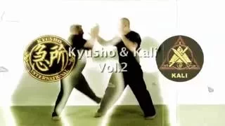 Kyusho & Kali Vol.2. Head Targets. Evan Pantazi & Raffi Derderian