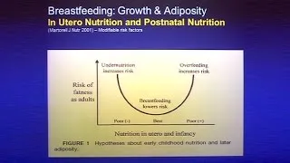 Stress Obesity and Pregnancy: Panel