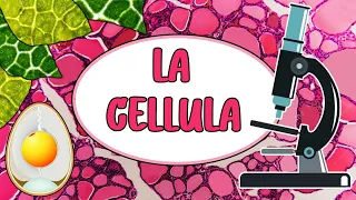 🦠 LA CELLULA - Videolezione di Scienze per la Scuola Primaria 🔬👩🏻‍🔬