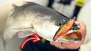 SPECKLED TROUT Love This LURE In These SALTWATER Rivers!