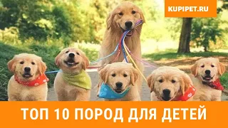 ТОП 10 ПОРОД ДЛЯ ДЕТЕЙ