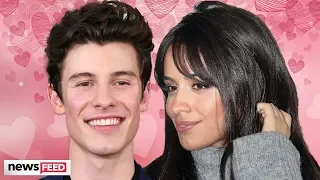 Shawn Mendes & Camila Cabello Are 'Falling For Each Other'