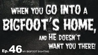 My Bigfoot Sighting Episode 46 - When You go into a Bigfoot’s Home, and He Doesn’t Want You There!