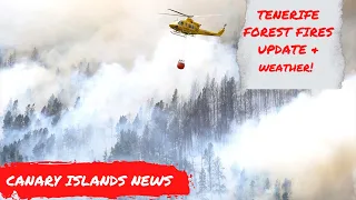 Canary Islands News: Raging Forest Fires in Tenerife & Weather🔥 will it affect your holiday?