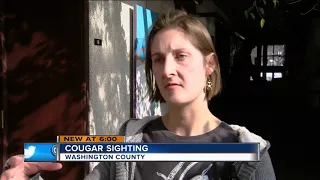Wisconsin DNR confirms cougar sighting in Washington County