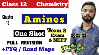 Amines One Shot Class 12 Chemistry Term 2 Exam & Neet  Chapter 13 | Amines Full Revision CBSE JEE