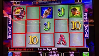 Purple fish free game! Big Win cash cove jackpot