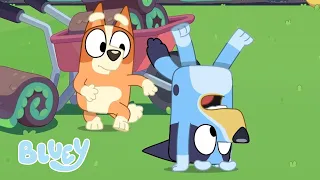 Jogando com Bluey e Bingo 💙 | Desenho Animado para Crianças | Bluey Português Brasil Canal Oficial