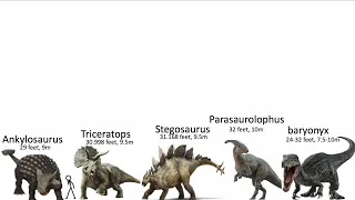 Size comparison of dinosaurs 2