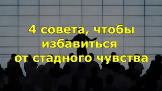 Как избавиться от стадного чувства