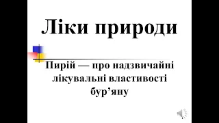 Пирій — надзвичайні лікувальні властивості бур’яну