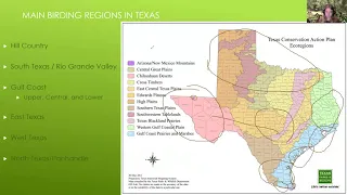Texas:  Comprehensive Texas Birding Overview in 60 Minutes