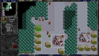 Warcraft 2 Crowded B 3v3