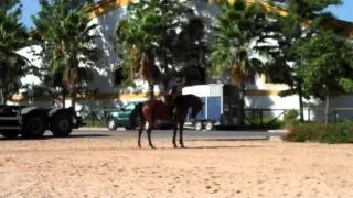 Rider at the Royal Andalusian School of Equestrian Art - Jerez de la Frontera, Spain
