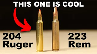 Is The 204 Ruger Cool? YES!- Season 2: Episode 53