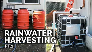 Testing My "Questionable" Rainwater Harvesting System in a Storm! 🌧️