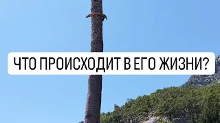 🥸ЧТО ПРОИСХОДИТ В ЕГО ЖИЗНИ?🤠