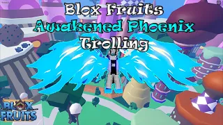 Roblox Blox Fruits Trolling (Awakened Phoenix)