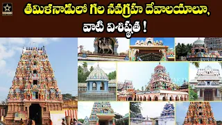 తమిళనాడు నవ గ్రహ దేవాలయాల విశిష్ఠత! | Navagraha temples in Tamil Nadu | Vision Star TV