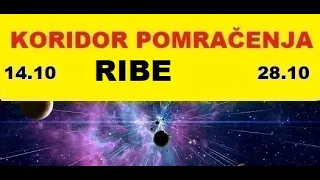 RIBE💥ŠTA JE ONO ŠTO VAS OČEKUJE 💥RIBE I KORIDOR POMRAČENJA od 14 oktobra do 28. oktobra