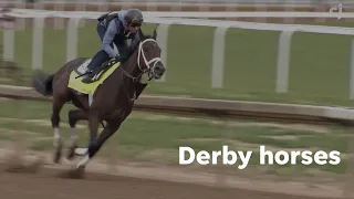 2024 Kentucky Derby contenders: Trainers for Fierceness, West Saratoga and Sierra Leone on horses